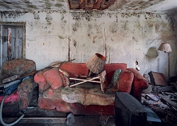 Robert Polidori, After the Flood, 2005